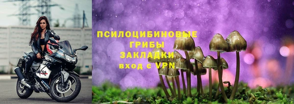 каннабис Арсеньев